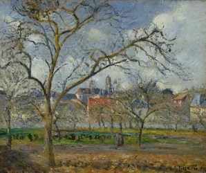 Orchard v Pontoise v zimě