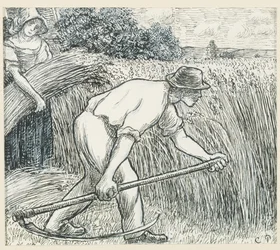 The Harvest, cca 1895 (pero a inkoust s olovnatým bílým kvašem na papíře)