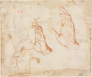 Studie rukou verso, c. 1590.