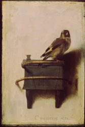Stehlík (The Goldfinch, The Goldfinch)