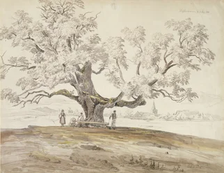 Pohled na Wolfershausen bei Meiningen se starým dubem, 1844 (grafit a wc na papíře)