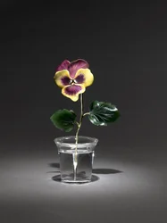 Pansy, konec 19. století-začátek 19. století