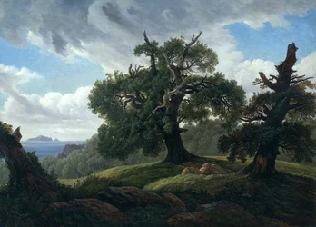 Vzpomínka na zalesněný ostrov v Baltském moři, duby u moře, 1835