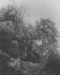 Pillnitz Na Labském ostrově Carl Gustav Carus 1840