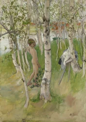 Nahý chlapec mezi břízami, 1898 (wc na papíře)