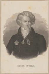 Georges Cuvier (1769 Montbéliard - 1832 Paříž) - francouzský zoolog, zakladatel paleontologie