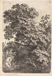 Satyr a nymfa v bažině