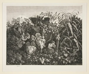 Krajina