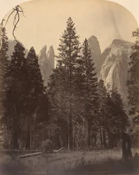 Katedrální věže, 1861.