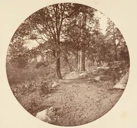 V Yosemitském údolí, ca. 1878.