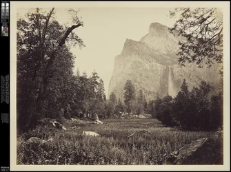 Svatební závoj, 900 stop. Yosemite, kolem roku 1865