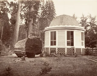 Dům postavený nad pařezem velkého stromu, 1865-66, tištěno ca. 1876.