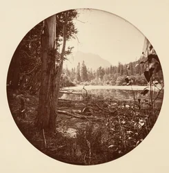 [Yosemitský národní park, Kalifornie], kolem 1878.
