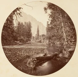 Yosemitský národní park, Kalifornie, kolem roku 1878.