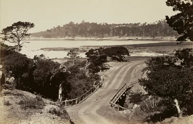 [Pohled na pobřeží u Monterey]