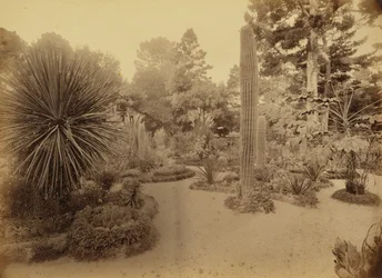 [Monterey, Kalifornie. Arizona Garden, Hotel Del Monte].