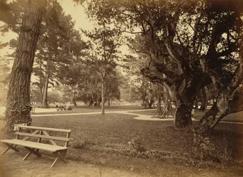 [Monterey, Kalifornie. Hotel Del Monte, Lawn View].