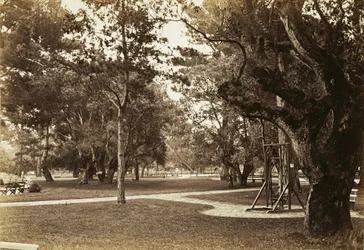 [Park poblíž hotelu del Monte, Monterey?]