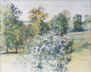 Červen z našeho okna, 2007 (pastel & wc na papíře)