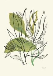 Moderní botanické listy