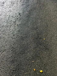 Kompozice - Textura, 2020 (foto)