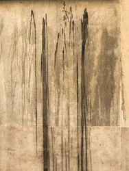 Kompozice - Textura, 2020 (foto)