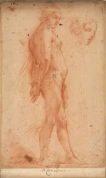 Studie stojícího mužského aktu se studií hlavy v tříčtvrtečním profilu, c. 1640.