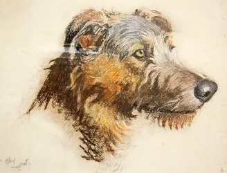 Skotský jelení honič (pastel na tónovaném papíře)