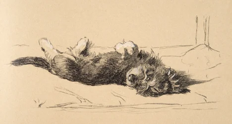 Detail štěněte Rough Daschund, 1930, ilustrace z jeho Sketch Book použité pro Just Among Friends, Aldin, Cecil Charles Windsor (1870-1935), později vydal Eyre a Spottiswoode Limited, 1934, Cha