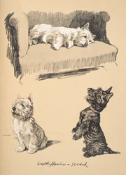 West Highlanders and Scotch, 1930, ilustrace z jeho knihy náčrtů použité pro Just Among Friends, později vydal Eyre and Spottiswoode Limited, 1934 (křída a uhel na papíře)