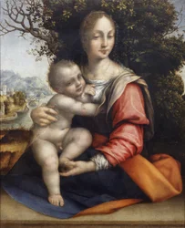 Madonna a dítě (Naše paní ze stromu)