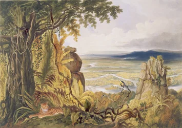 Comuti nebo Taquiare Rock, na řece Essequibo, z 