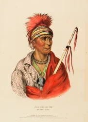 NOT-CHI-MI-NE. AN IOWAY CHIEF., z knihy Dějiny indiánských kmenů Severní Ameriky.
