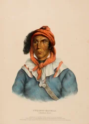 TULCEE-MATHLA. A SEMINOLE CHIEF., z knihy Dějiny indiánských kmenů Severní Ameriky.