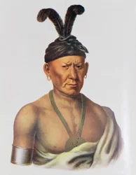 Wakechai nebo 