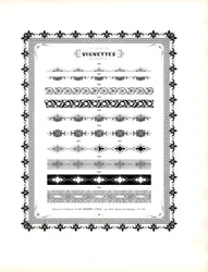Květinové ozdobné pásky a ornamentální bordury (tisk)