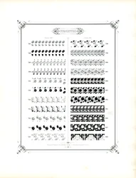 Květinové a geometrické ornamenty pro knihtisk (tisk)