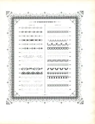 Ornamentální bordury a viněty, sbor 20 (tisk)