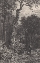 Lov sluky lesní, 1864