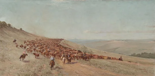 Řízení stáda, 1904
