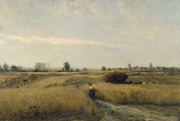 Sklizeň