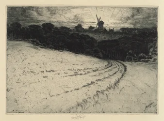 Ráno, ostrov Canonicut, 1908.