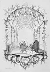 Italské divadlo Italské divadlo, od Essai de Papilloneries Humaines par Saint A..., ca. 1756-60.