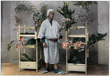 Obchodník s květinami v Japonsku, c1890