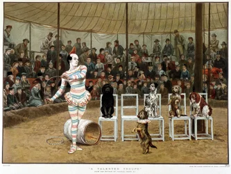 Učení psi: cirkusová scéna s klaunem a psy - podle Charlese Greena, anglický chromo 1885. ¿Učení psi: cirkusová scéna s klaunem a psy - podle Charlese Greena, anglický chromo 1885. ¿