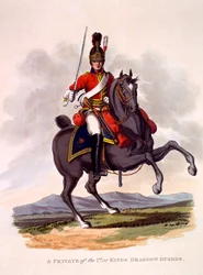 Uniforma vojína 1. neboli královské dragounské gardy, vyryla Joseph Constantine Stadler (fl.1780-1812), 1812-15 (ručně kolorovaná akvatinta)