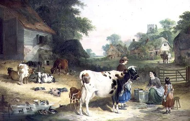 Country Drby