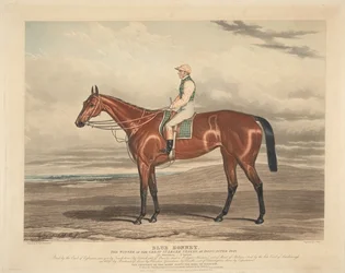 Dostihy: Blue Bonnet. Vítěz velkých St. Leger Stakes v Doncasteru roku 1842