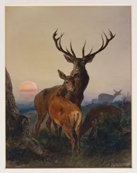 Jelen s jelenem v zalesněné krajině při západu slunce, 1865