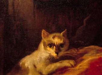 Mademoiselle de Charolais Detail představující kočku. Obraz od Charlese Josepha Natoire (Charles-Joseph Natoire